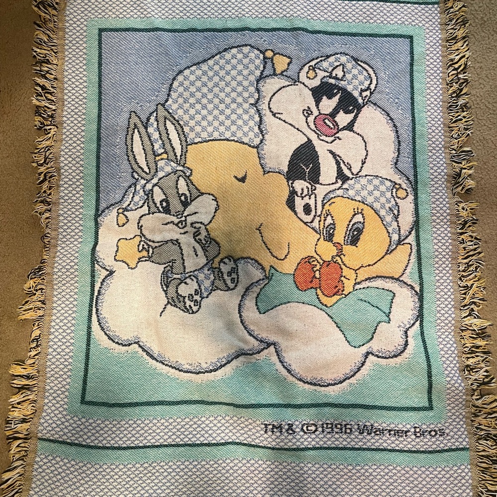 Vintage 1996 Warner bros Baby looney tune throw blanket🔥